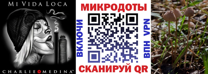 кракен сайт  Фёдоровский  Псилоцибиновые грибы Psilocybine cubensis 